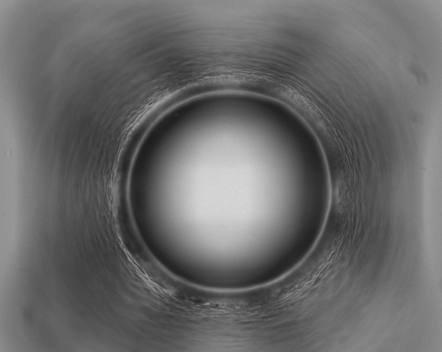 X0000113200436200909171517