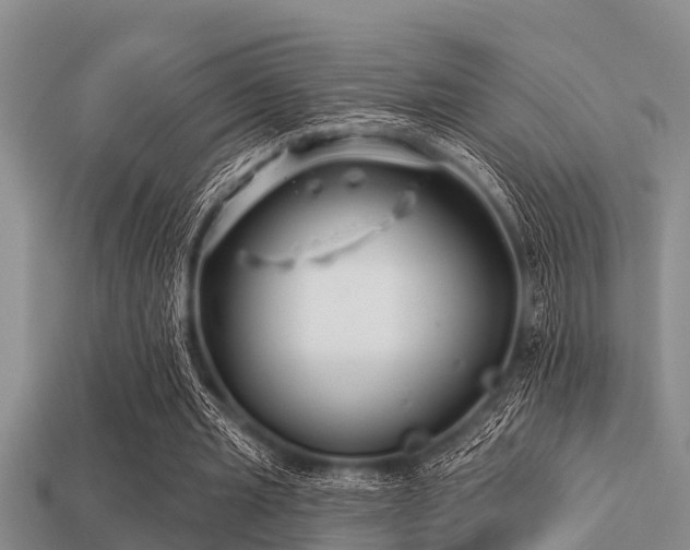 X0000113200437200909171517