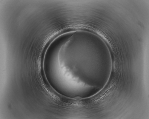 X0000113200438200909171517