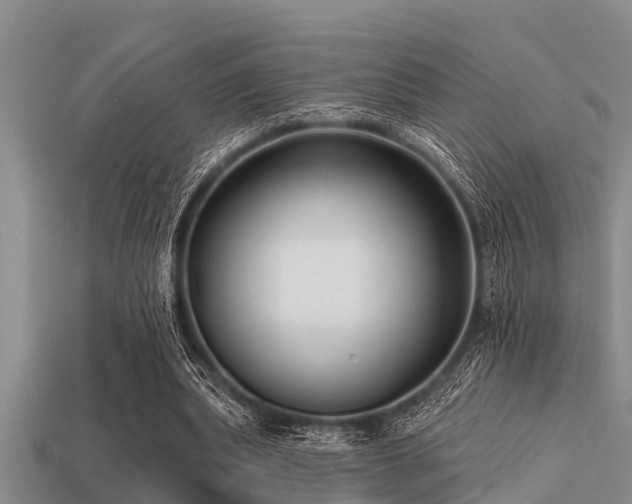 X0000113200439200909171517