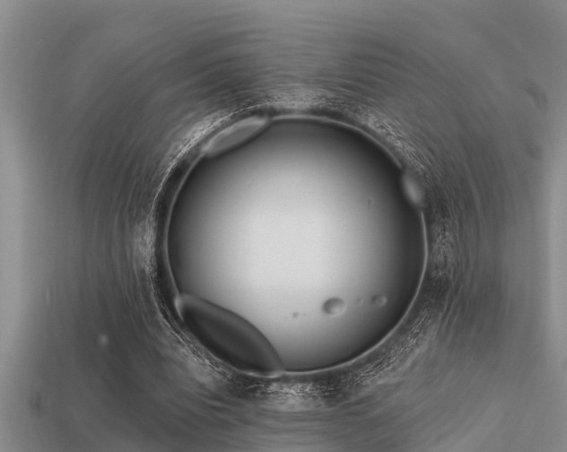 X0000113200440200909171517