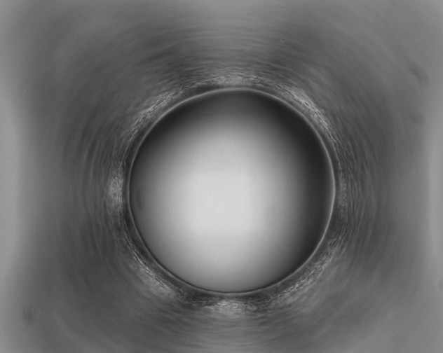 X0000113200441200909171517