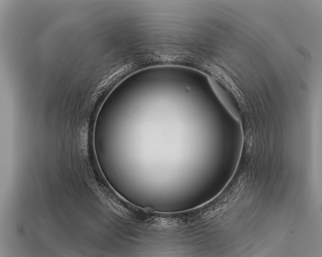 X0000113200442200909171517