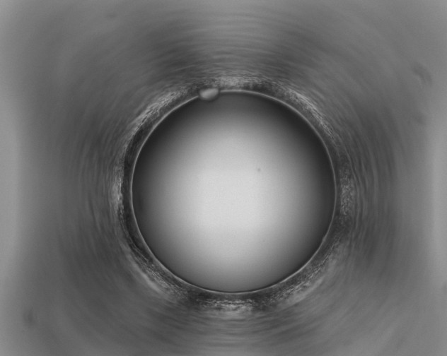 X0000113200443200909171517