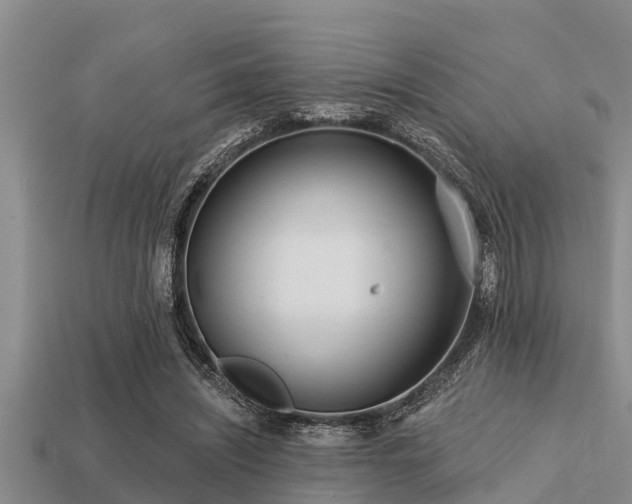 X0000113200444200909171517