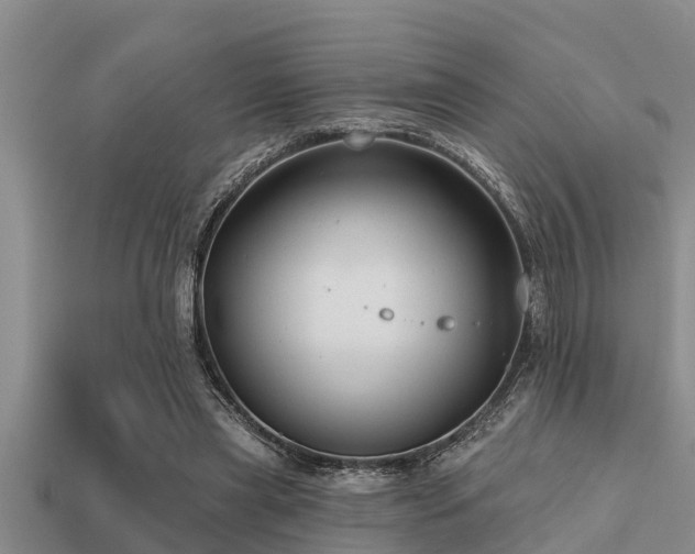 X0000113200445200909171517