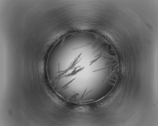 X0000113200447200909171517