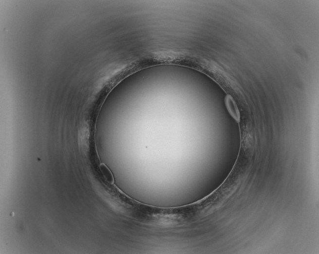 X0000113200448200909171517