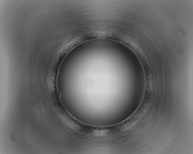 X0000113200450200909171517