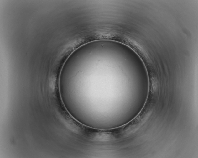 X0000113200451200909171517