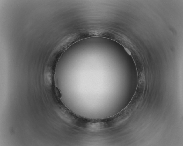 X0000113200452200909171517