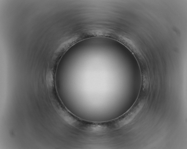 X0000113200453200909171517