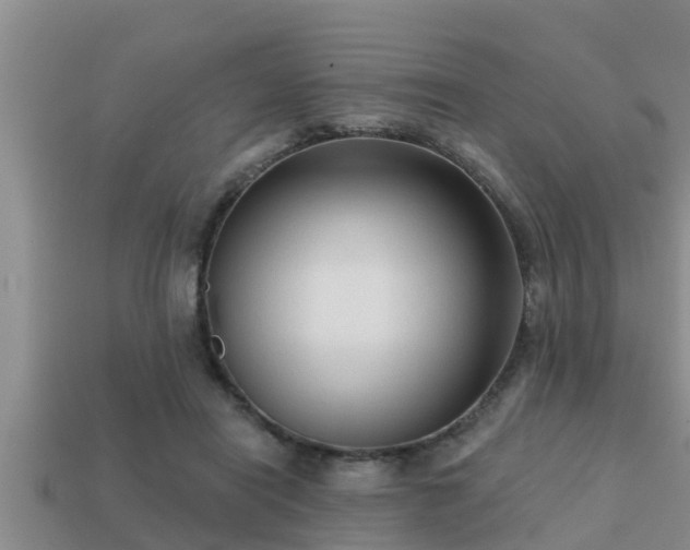 X0000113200454200909171517