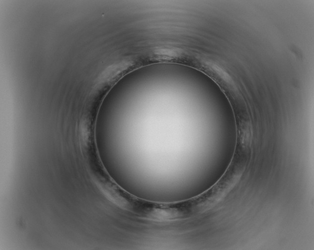 X0000113200455200909171517