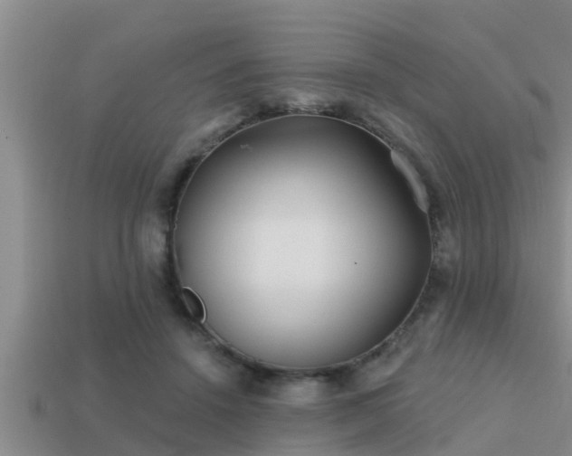 X0000113200456200909171517