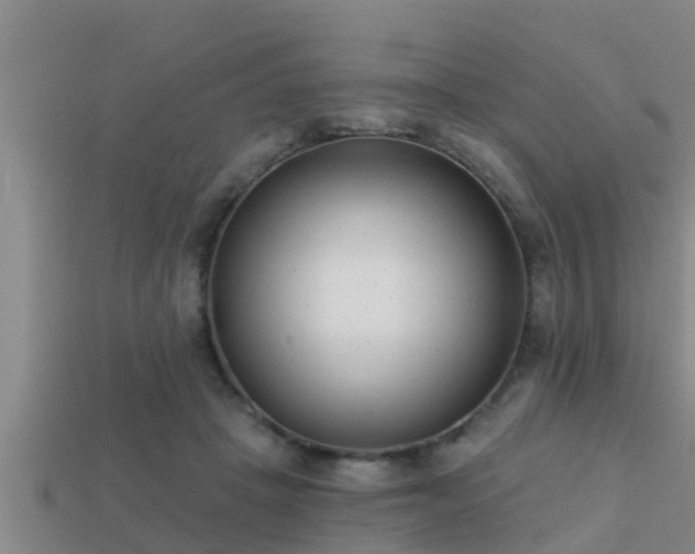 X0000113200457200909171517