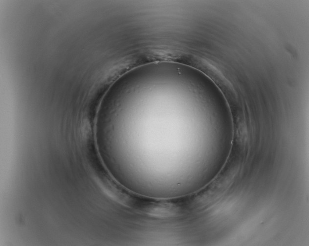 X0000113200459200909171517