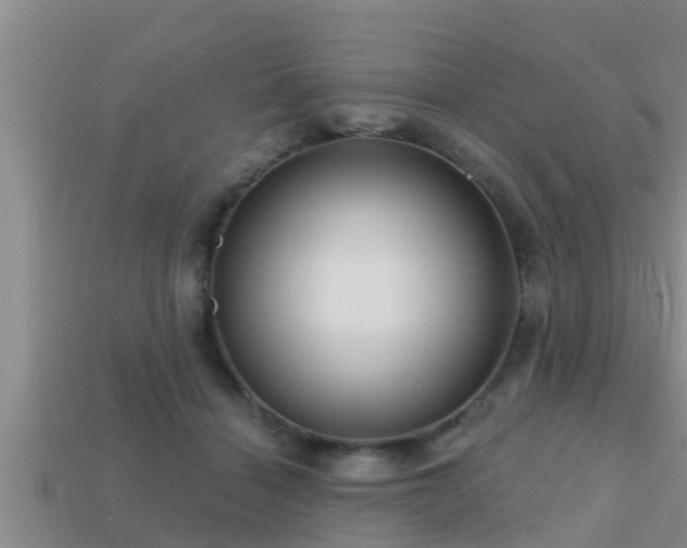 X0000113200460200909171517