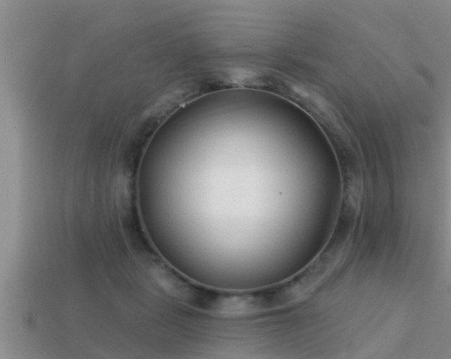 X0000113200461200909171517