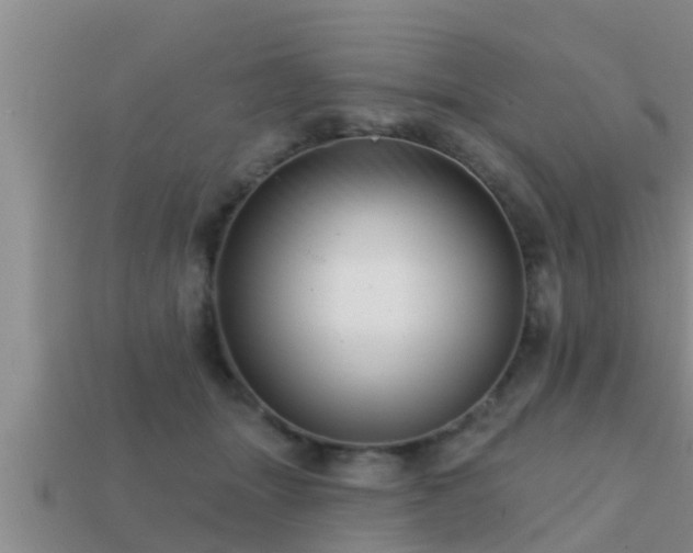 X0000113200463200909171517