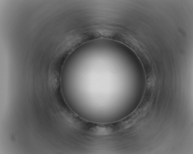 X0000113200464200909171517