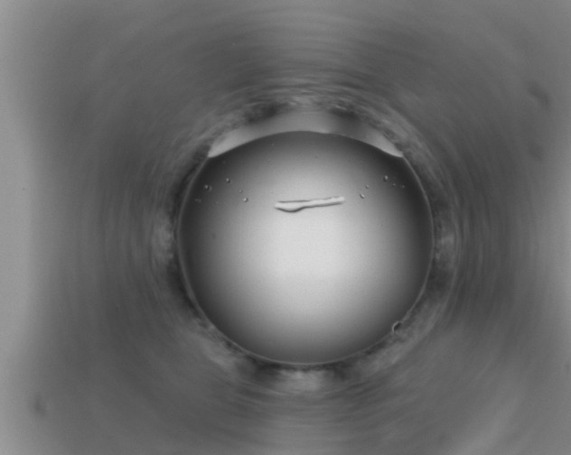 X0000113200469200909171517