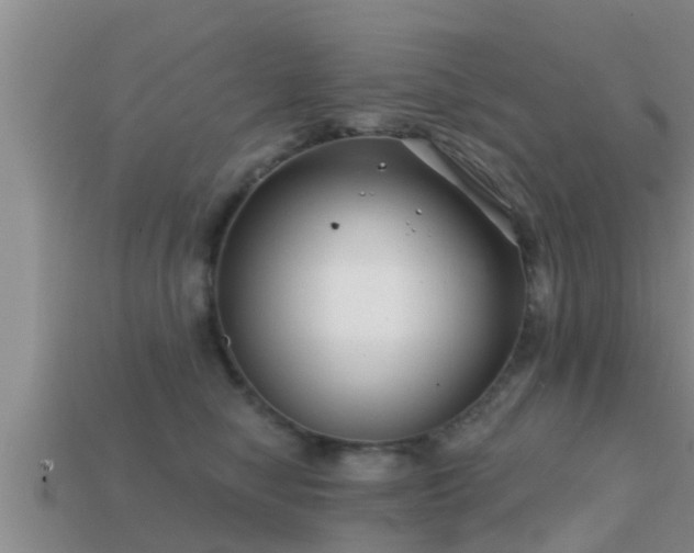 X0000113200470200909171517