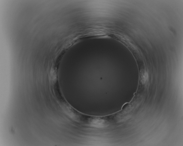 X0000113200471200909171517