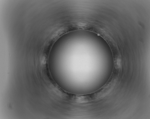 X0000113200472200909171517