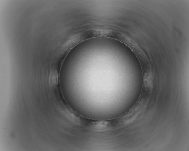 X0000113200474200909171517