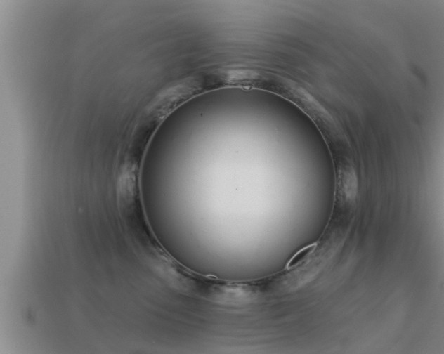 X0000113200475200909171517