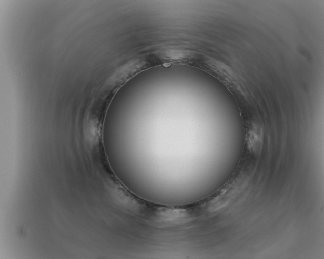 X0000113200476200909171517