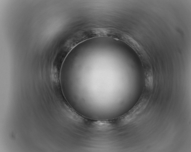 X0000113200477200909171517