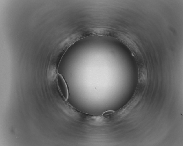 X0000113200478200909171517