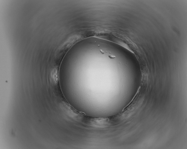 X0000113200479200909171517