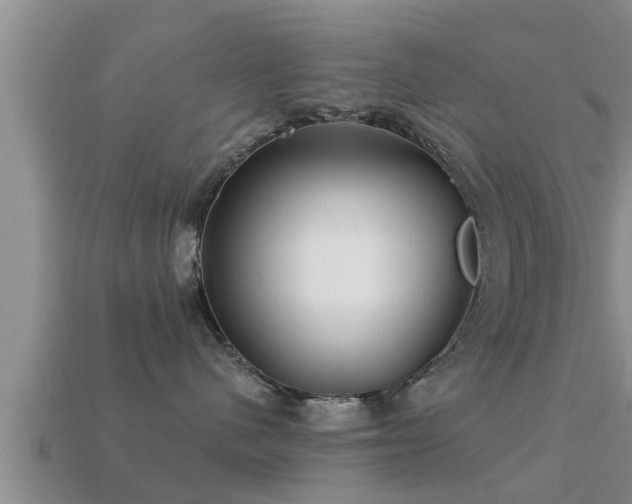 X0000113200480200909171517