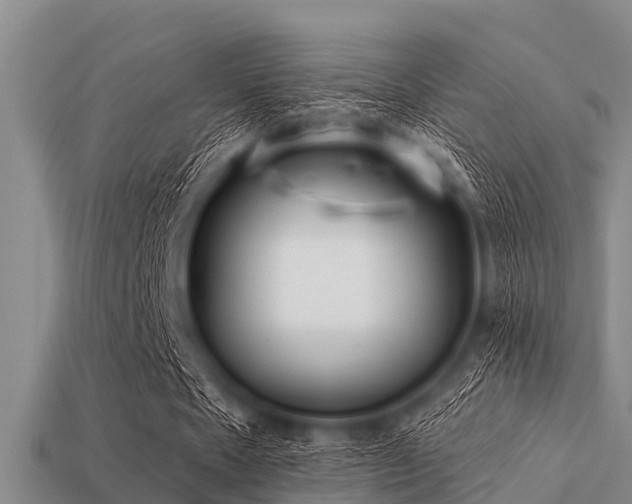 X0000113200481200909171517