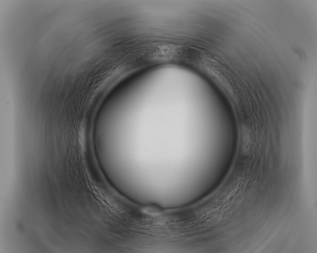 X0000113200482200909171517