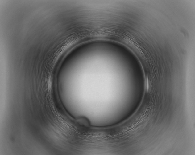 X0000113200483200909171517