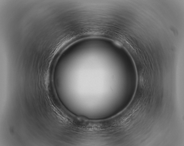 X0000113200484200909171517