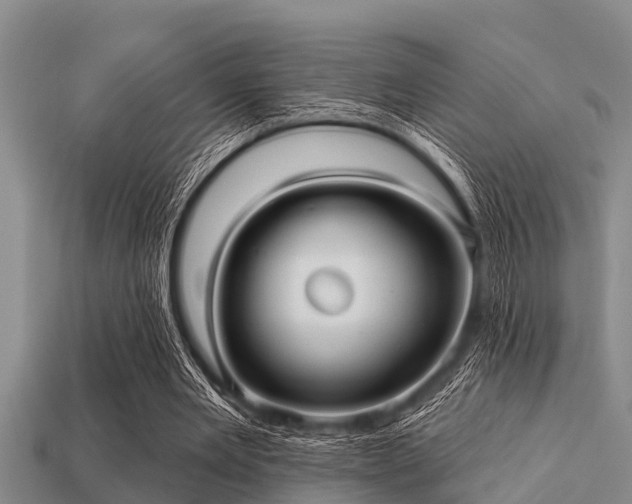 X0000113200485200909171517