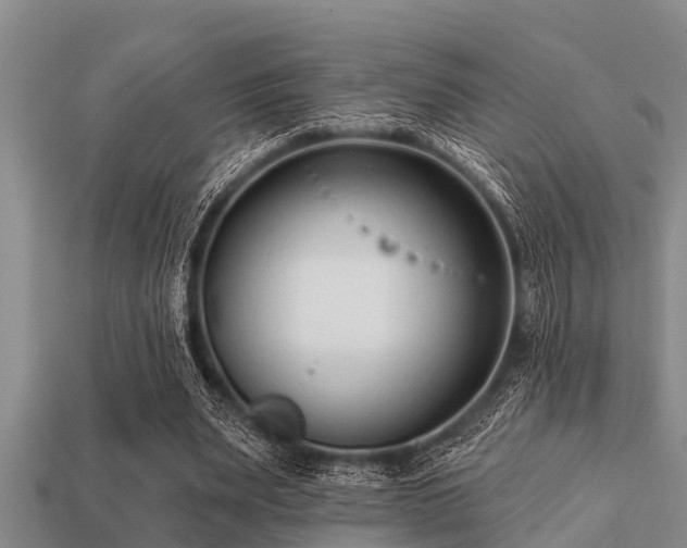 X0000113200487200909171516