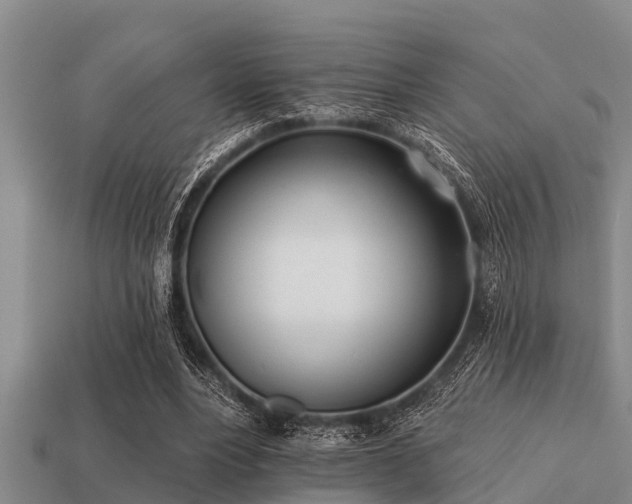 X0000113200488200909171516