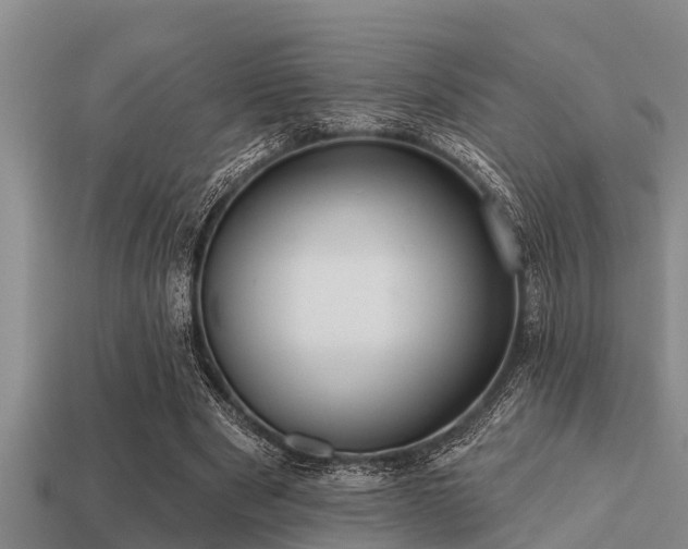 X0000113200489200909171516