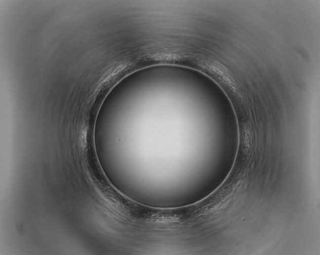 X0000113200491200909171516