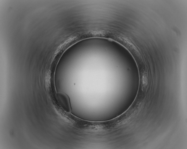 X0000113200492200909171516