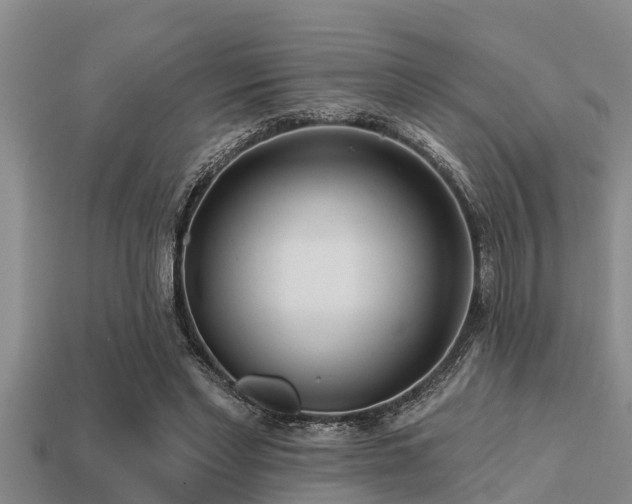 X0000113200493200909171516