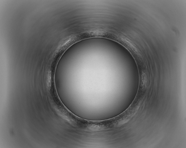 X0000113200494200909171516