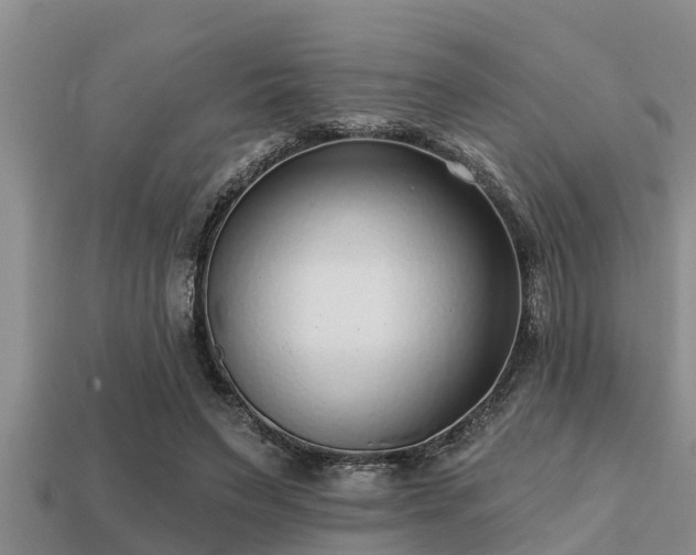 X0000113200495200909171516