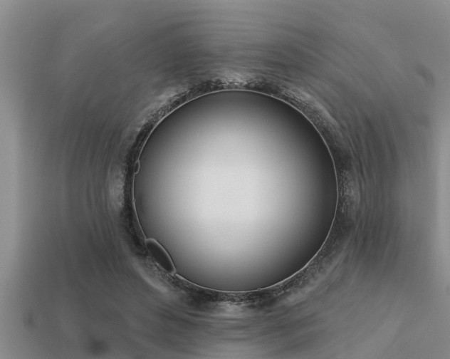 X0000113200496200909171516